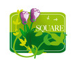pictogramme-square