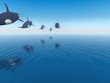 the race