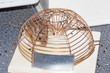 trapped mouse