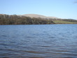 gartmorn in early spring