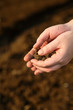 soil
