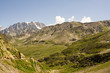 the swiss alps