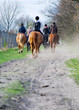 Photo: school of riding school of riding
