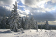 sunshine and snow