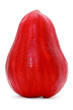 jamaican apple