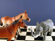 two horses and an elephant