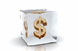 frozen dollar frozen dollar