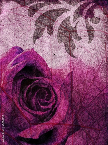 Purple Rose Background on Purple Rose Background    Rgbspace  3030339   Portfolio Ansehen
