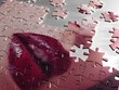lips puzzle