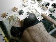 bikini puzzle