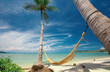Foto: hammock hammock