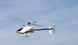 Foto: im flug im flug