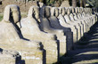 line of sphinxes in the entrance of luxor temple