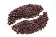 grain of coffee