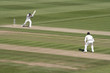 cricket action cricket action