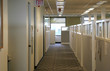 Office Cubicles