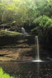 waterfall in rainforest waterfall in rainforest