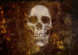 grunge gothic skull grunge gothic skull
