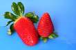 fresas frescas
