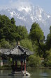 jade dragon snow mountain