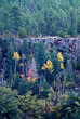 autumn's colors autumn's colors