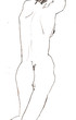 sketch