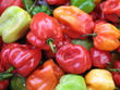 piments colorés