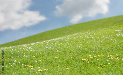 Photo: prairie ciel bleu prairie ciel bleu