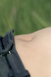 ventre de femme couchée sur herbe régime minceur