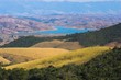 brazilian farm