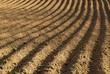 furrows furrows