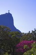 christ the redeemer