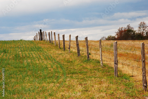 Photo: fence into horizon fence into horizon