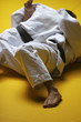 judo fighters