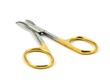 scissors