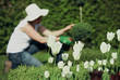 fleurs jardin