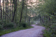 the future road