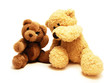 teddy bears friends