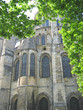 cathedral view of the back with a tree in foreground, bourges, f