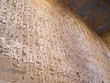 detail of the hieroglyphs on a large wall of the ramses three te detail of the hieroglyphs on a large wall of the ramses three te