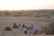 resting camp after a camel treck, jaisalmer desert, india
