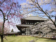 todaiji temple