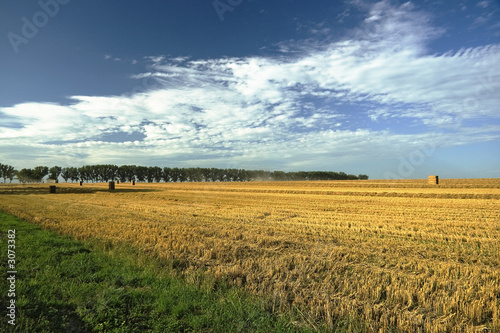 Foto: herbst herbst