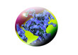 planet earth isolated, insulated, white background, for designer