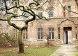 baum in hof baum in hof