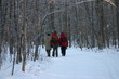 marcheurs dans la forêt