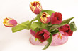 tulipány