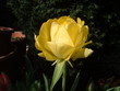 long winter -  finally spring