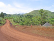 dirty track spinning between the green hills, cameroon, africa