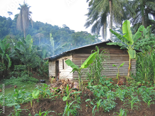 Photo: farmer house in the tropical jungle, cameroon, africa farmer house in the tropical jungle, cameroon, africa